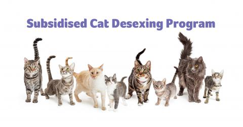 CatDesexing_2021_Facebook.jpg
