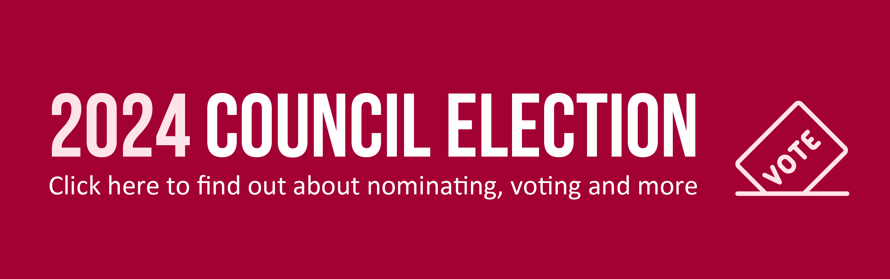 Council election web banner