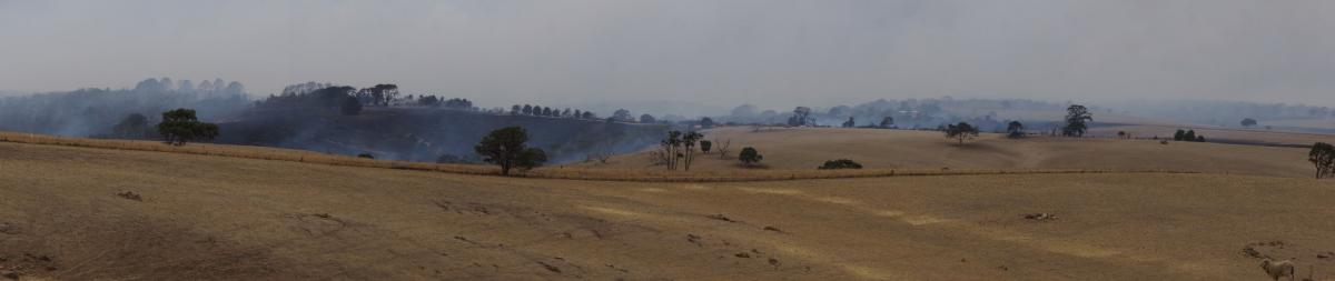 landscape photo of a planned burning