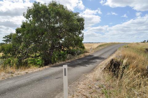 Geggies Road Bridge - February 2021_web.jpg