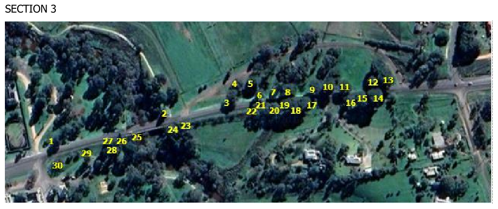 Inverleigh Cypress Tree Removals June July 2020.png