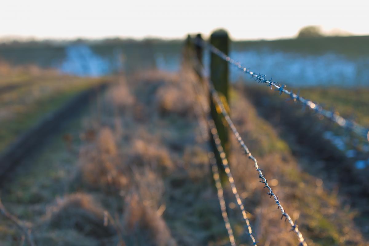 Blurred image of fences
