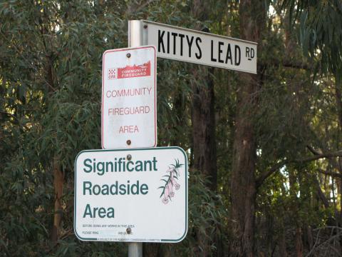 Roadside Native Vegetation.JPG