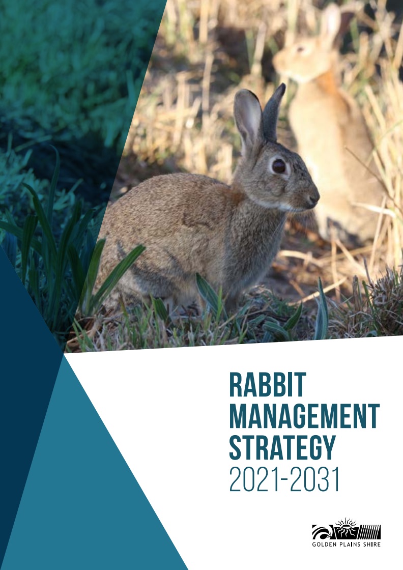 Rabbit Management Strategy