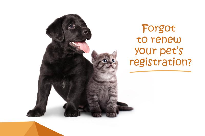 Pet Registration 2022