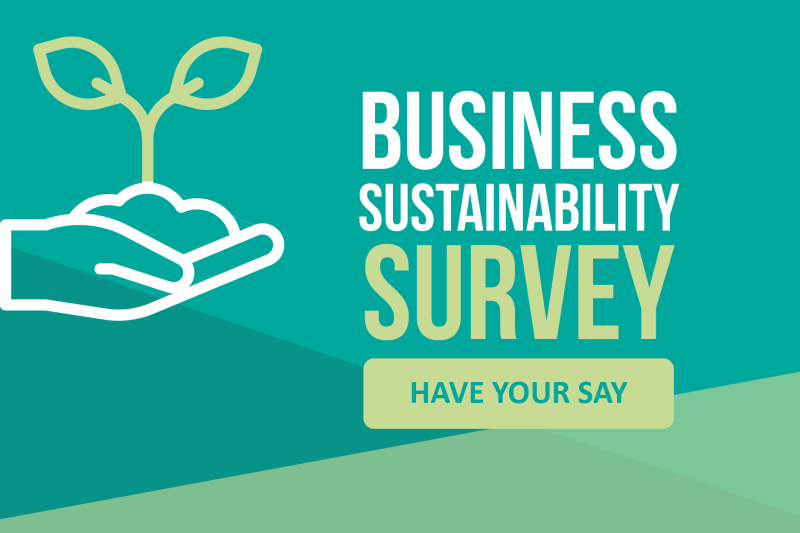Business and sus survey