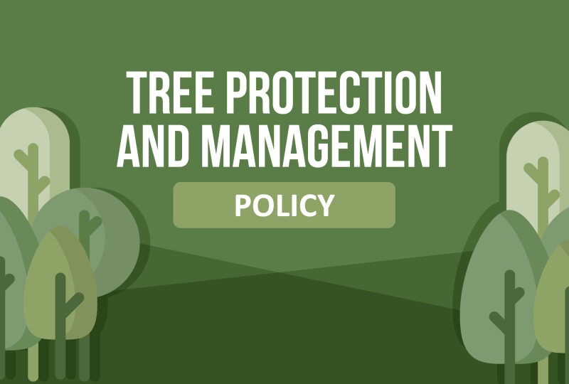 Tree policy web