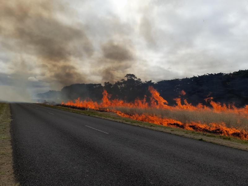 Roadside Burn