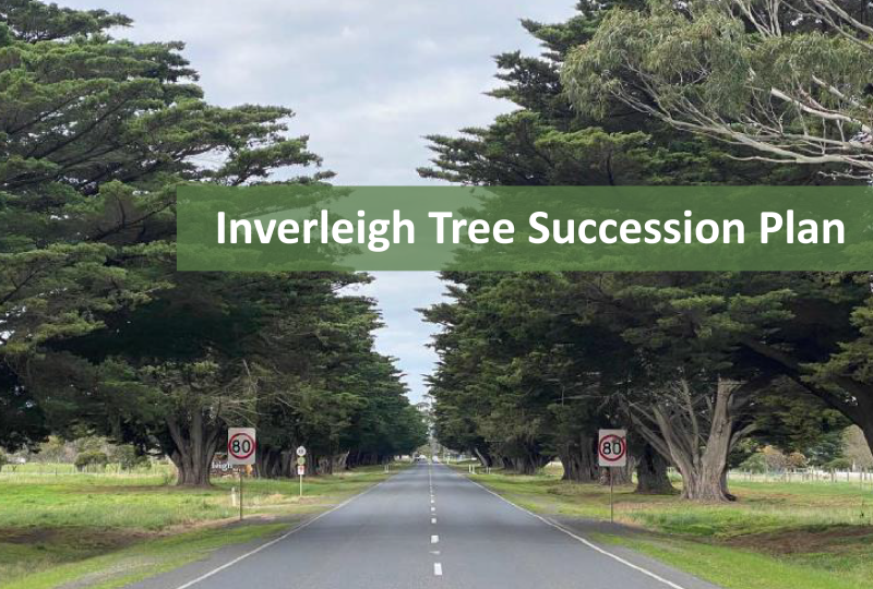 Inverleigh Tree