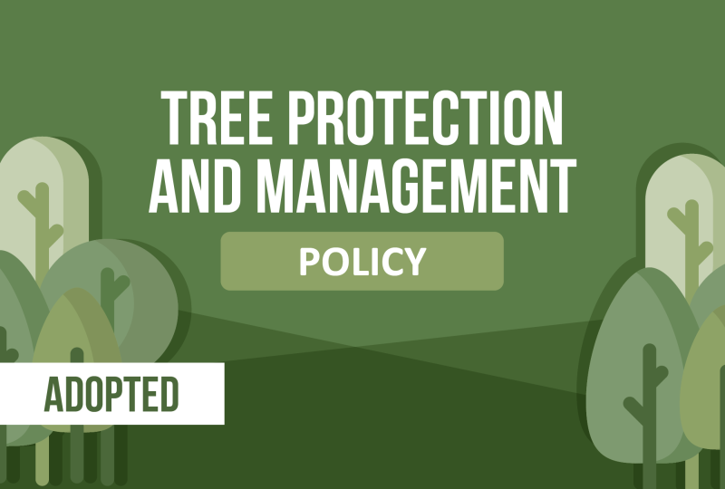 Tree Policy adopted web