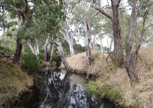 Moorabool River Reserve