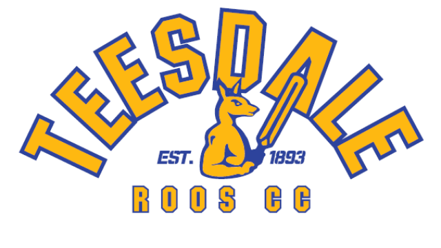 Teesdale Cricket Club logo