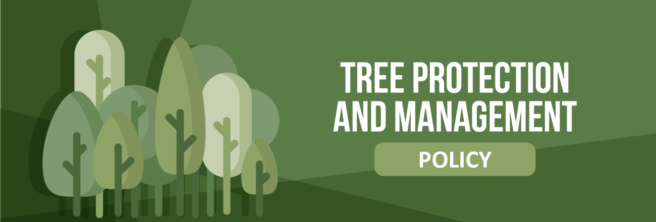 Tree Policy detail
