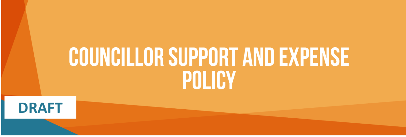 Councillor support policy detail