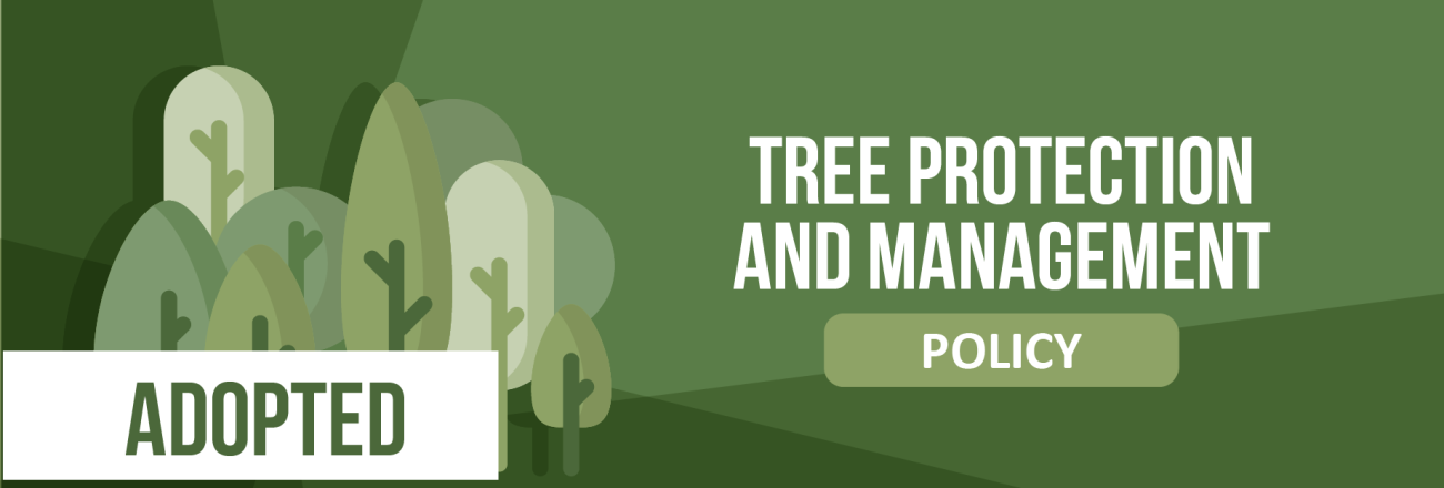 Tree policy adopted detail