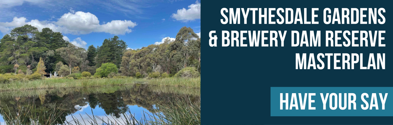 Smythesdale Gardens and Brewery Dam 1