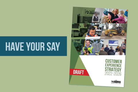 Have Your Say Draft Customer Experience Strategy 2022-2026