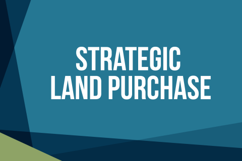 Strategic Land Purchase