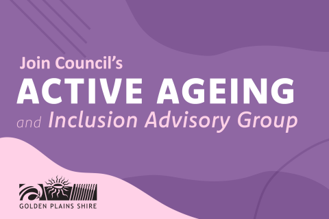 Active Ageing and Inclusion Advisory Group