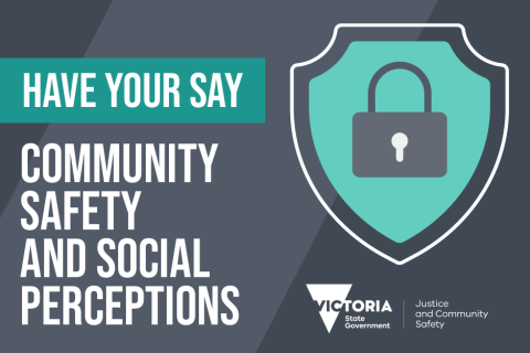 Community Safety and Social Perceptions HYS LIst