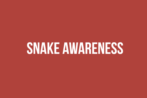 Snake Awareness
