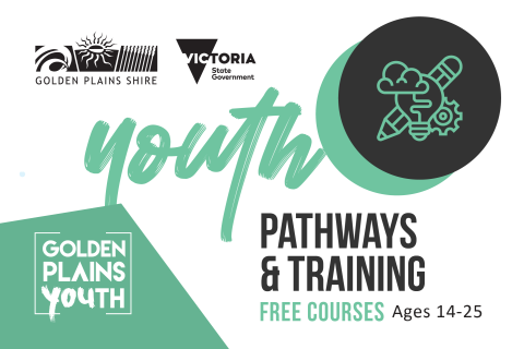 Youth pathways