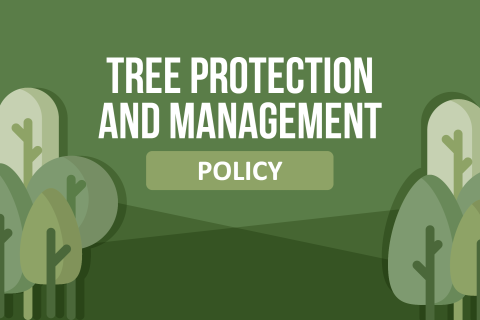 Tree policy web