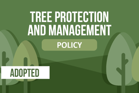 Tree policy adopted list