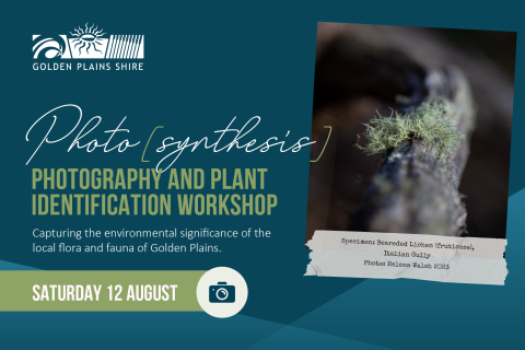Photo[Synthesis] Workshop