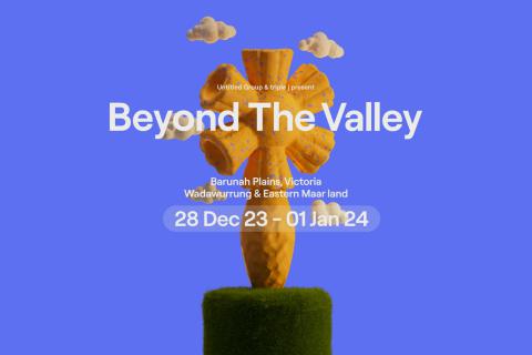 Beyond the valley 23
